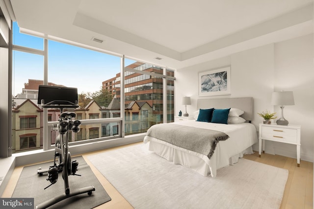 bedroom with a tray ceiling and wood finished floors