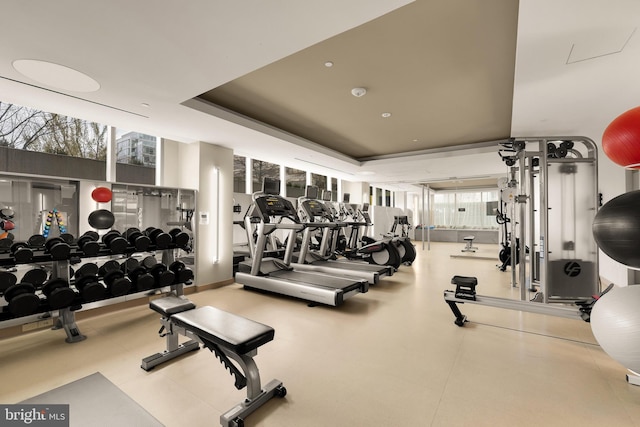exercise room featuring a raised ceiling