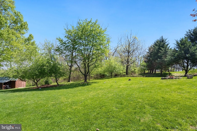 view of yard featuring an outdoor structure