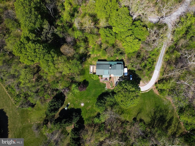 aerial view