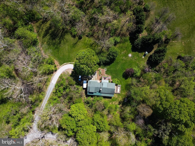 bird's eye view