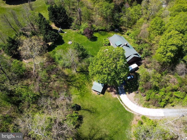aerial view