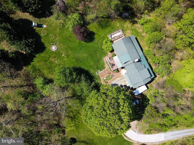 aerial view