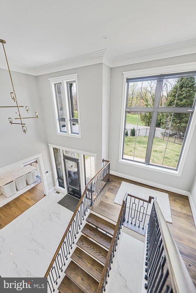 1109 Towlston Rd, Mclean, VA 22102 - interior space featuring baseboards, ornamental molding, and marble finish floor