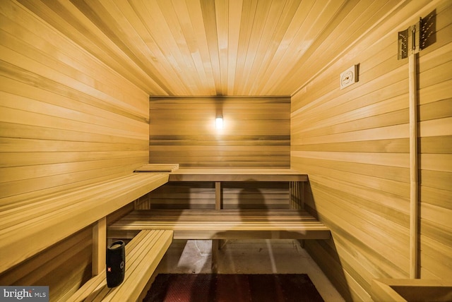 1109 Towlston Rd, Mclean, VA 22102 - view of sauna / steam room
