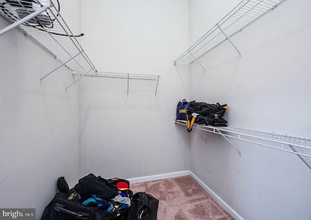 62 Brookview Ln, Pottstown, PA 19464 - spacious closet with carpet floors
