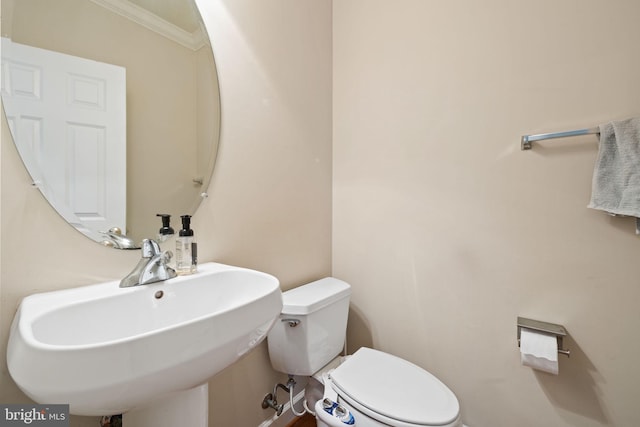 18547 Kerill Rd, Triangle, VA 22172 - half bath featuring a sink, ornamental molding, and toilet