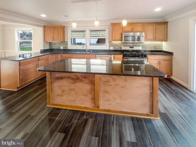 kitchen with dark wood-style floors, ornamental molding, a sink, and stainless steel appliances