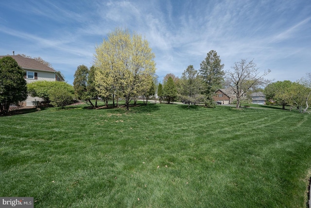 view of yard
