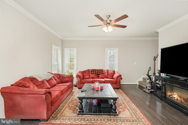 living room featuring dark wood-style floors, crown molding, baseboards, a glass covered fireplace, and ceiling fan