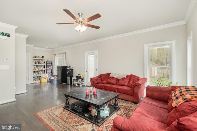 living room featuring ceiling fan, ornamental molding, and plenty of natural light