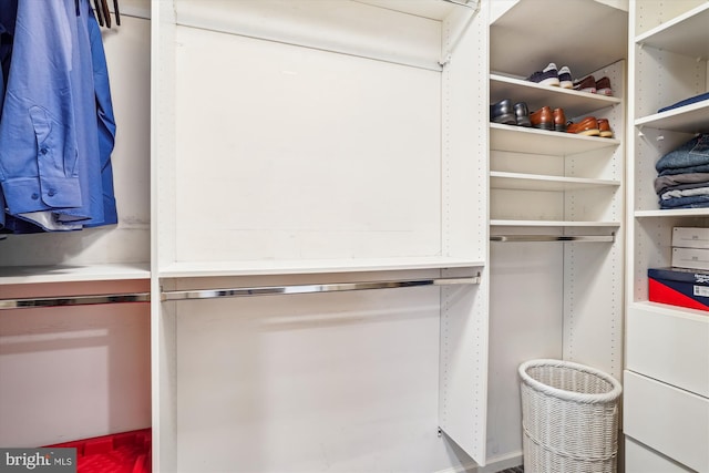 view of spacious closet