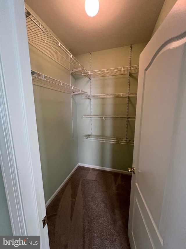122 Lahinch Ct, Middletown, DE 19709 - spacious closet featuring carpet floors