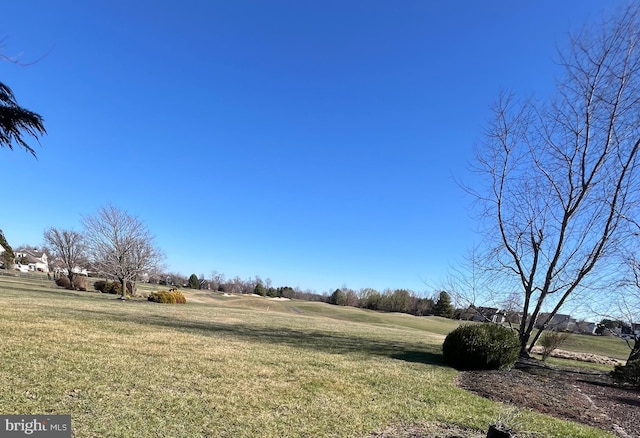 122 Lahinch Ct, Middletown, DE 19709 - view of yard
