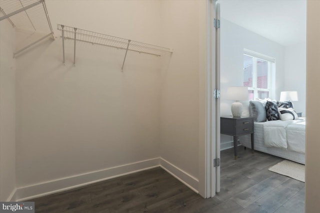 walk in closet with dark wood-style flooring