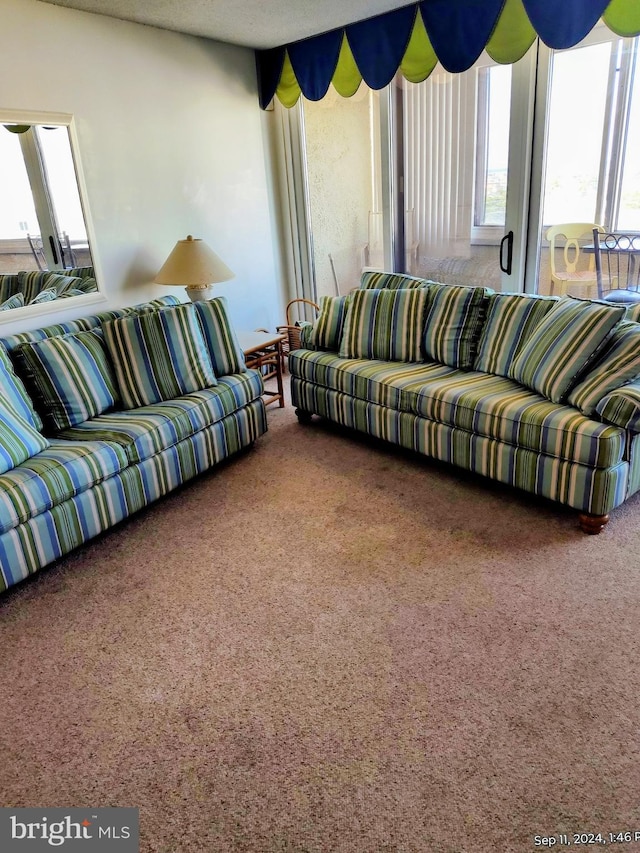 8500 Coastal Hwy Unit 501, Ocean City, MD 21842 - living area with carpet