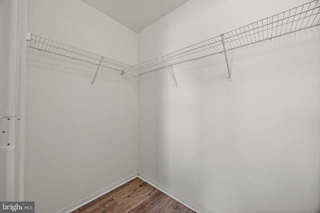 spacious closet featuring wood finished floors