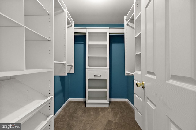 walk in closet with carpet