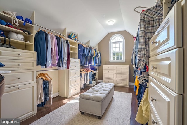 walk in closet featuring dark wood-style floors and vaulted ceiling