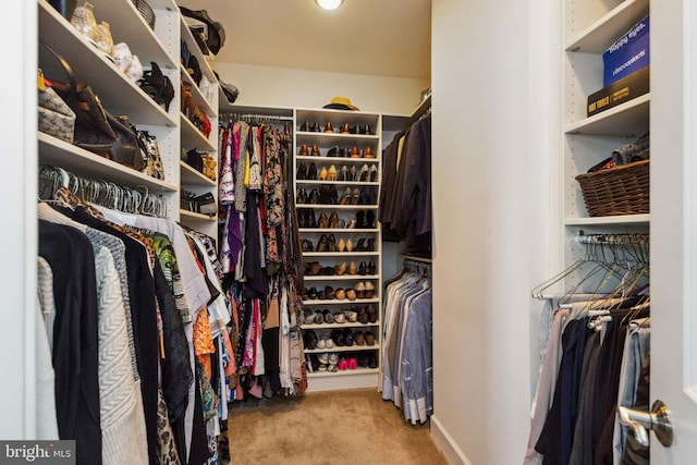 walk in closet with carpet