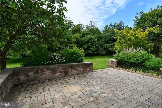 20559 Crescent Pointe Pl, Ashburn, VA 20147 - view of patio