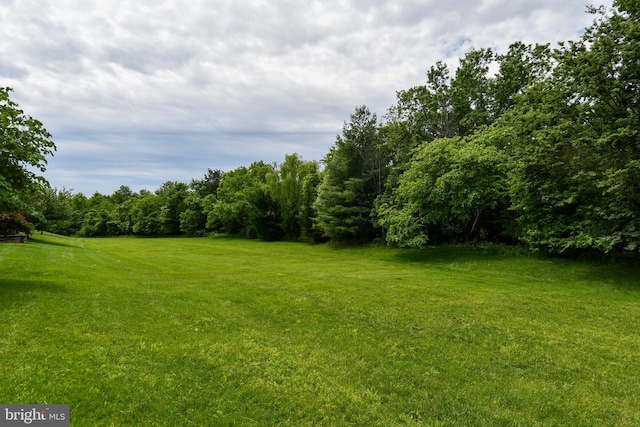 20559 Crescent Pointe Pl, Ashburn, VA 20147 - view of grassy yard with a view of trees