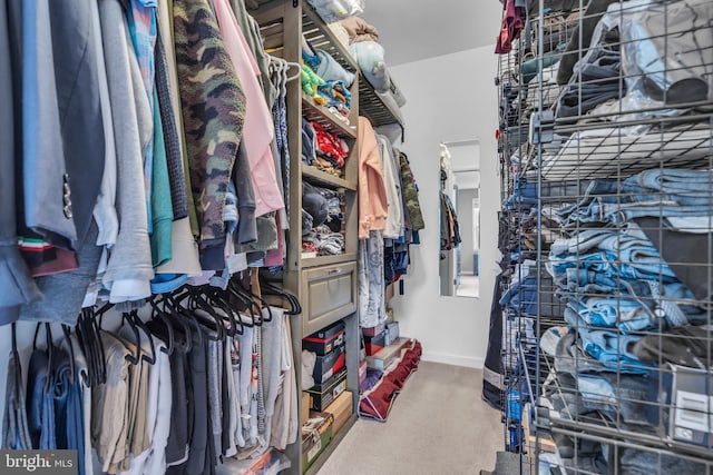 view of spacious closet