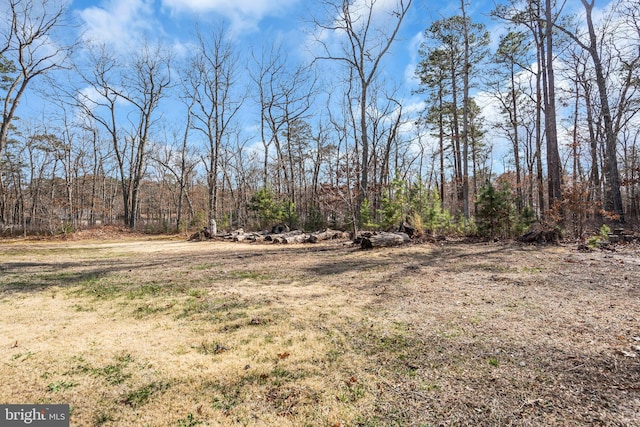 view of yard with a forest view
