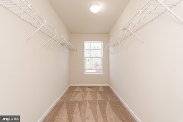 spacious closet with carpet