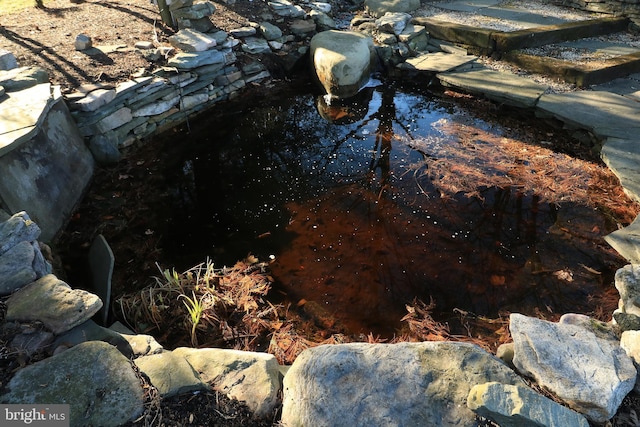 234 W Fairmount Ave, State College, PA 16801 - exterior view of a garden pond