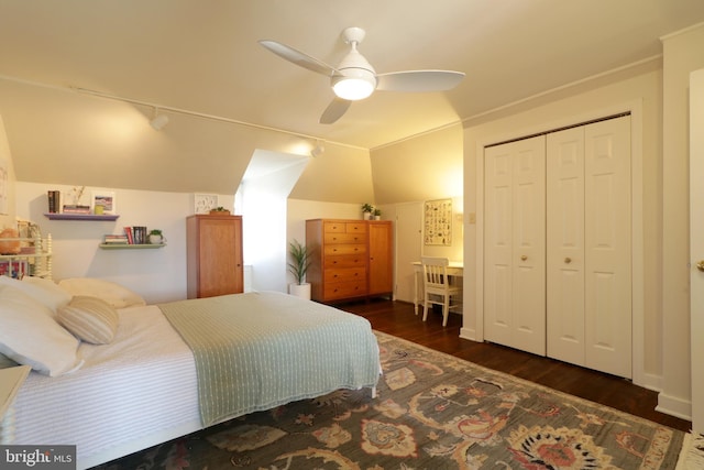 234 W Fairmount Ave, State College, PA 16801 - bedroom featuring wood finished floors, vaulted ceiling, a closet, and ceiling fan