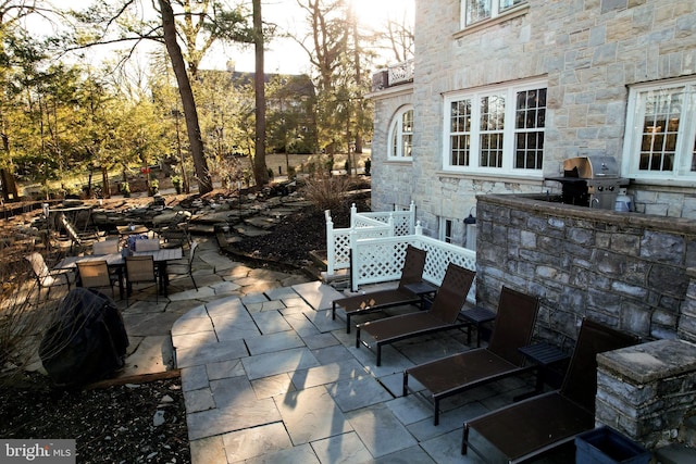 234 W Fairmount Ave, State College, PA 16801 - view of patio featuring area for grilling