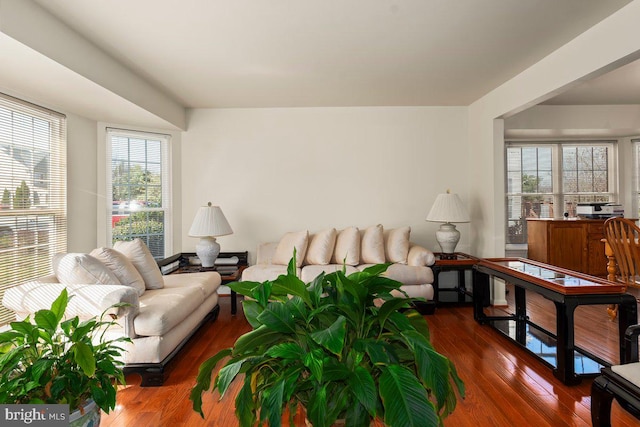 living room with wood-type flooring and a wealth of natural light