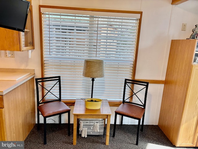 sitting room with a healthy amount of sunlight