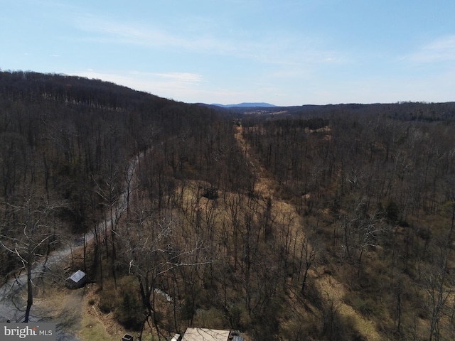 1451 Licking Creek Rd, Big Cove Tannery, PA 17212 - property view of mountains with a view of trees