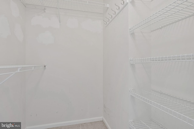 11587 Wollaston Cir, Swan Point, MD 20645 - walk in closet featuring carpet