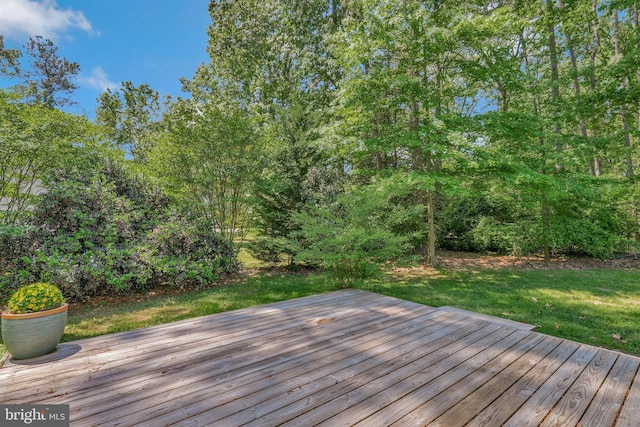 11587 Wollaston Cir, Swan Point, MD 20645 - wooden terrace with a lawn