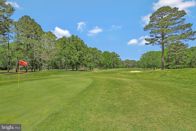 11587 Wollaston Cir, Swan Point, MD 20645 - view of home's community featuring view of wooded area, view of golf course, a putting green, and a lawn