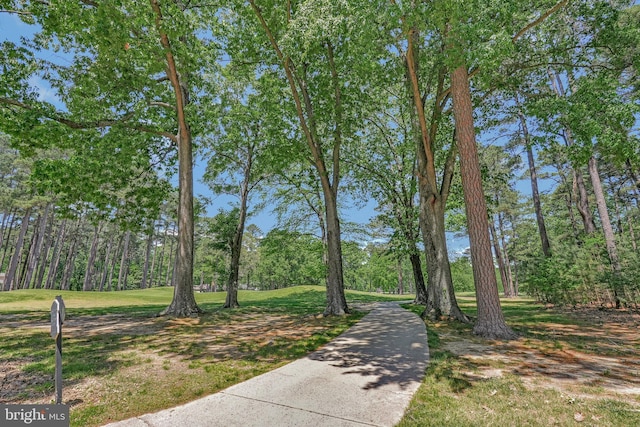 11587 Wollaston Cir, Swan Point, MD 20645 - view of home's community featuring a yard