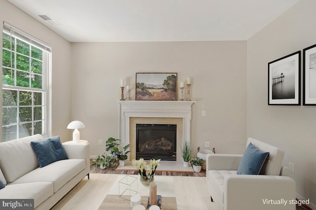 11587 Wollaston Cir, Swan Point, MD 20645 - living room featuring wood finished floors, a glass covered fireplace, and baseboards