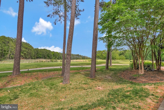 11587 Wollaston Cir, Swan Point, MD 20645 - view of green lawn