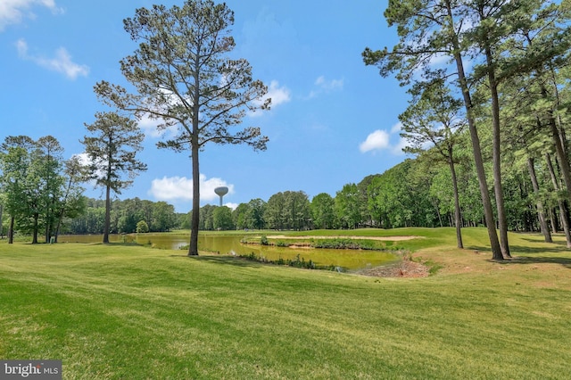 11587 Wollaston Cir, Swan Point, MD 20645 - view of community featuring a water view and a lawn