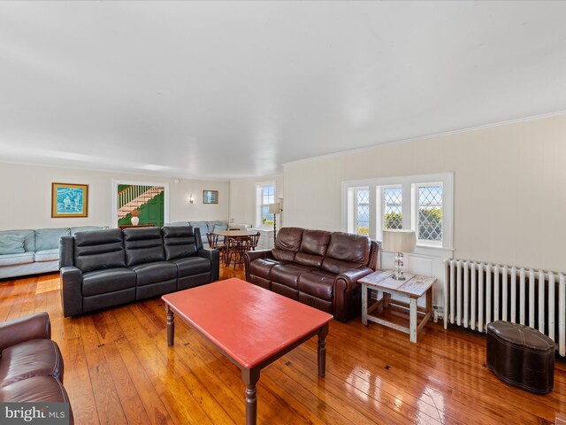 5917 Horns Point Rd, Cambridge, MD 21613 - living area with hardwood / wood-style floors, radiator heating unit, and a wealth of natural light