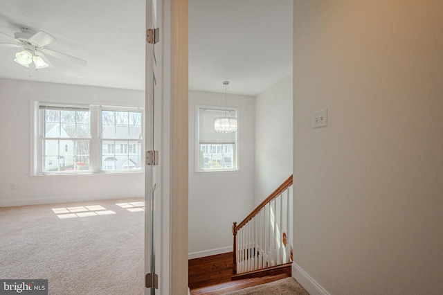 961 Rue Madora, Bear, DE 19701 - staircase with ceiling fan with notable chandelier, carpet flooring, and baseboards