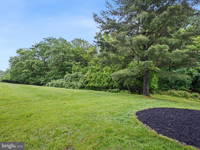 998 Glackens Ln, Wilmington, DE 19808 - view of green lawn