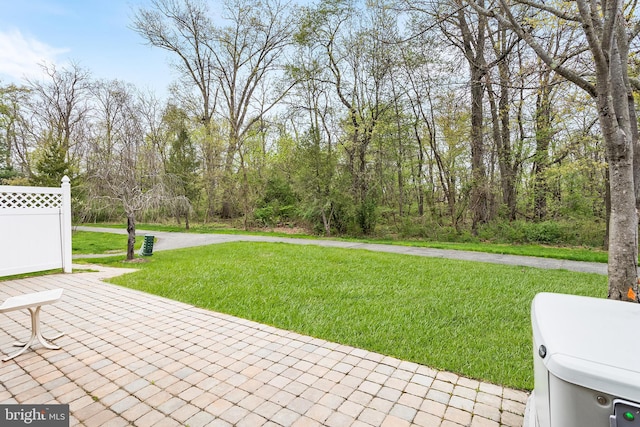 view of yard with a patio and fence