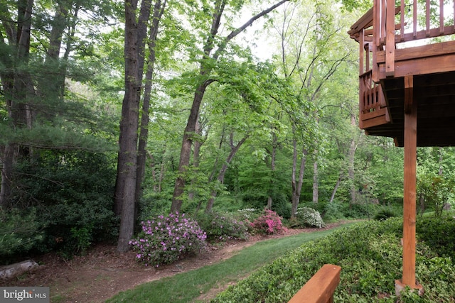 view of yard with a view of trees