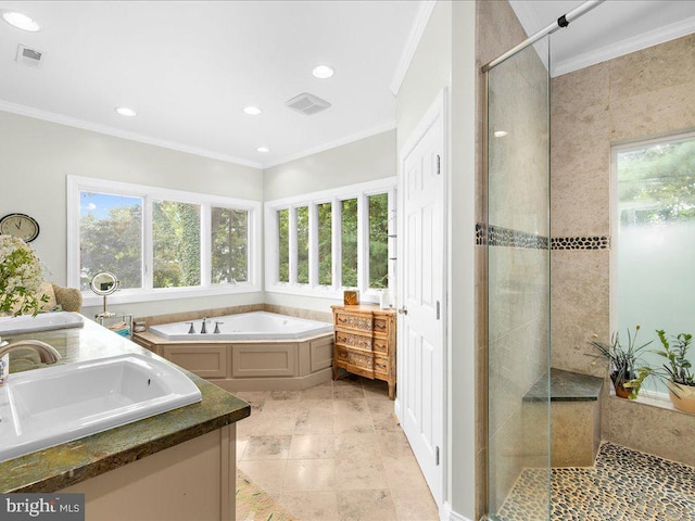 full bath featuring visible vents, a sink, a stall shower, and crown molding