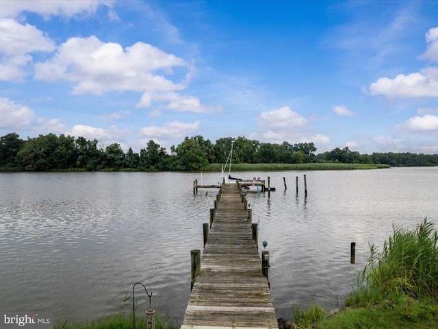 dock area with a water view and boat lift