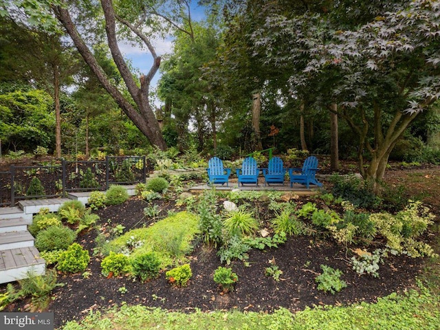 view of yard featuring a vegetable garden